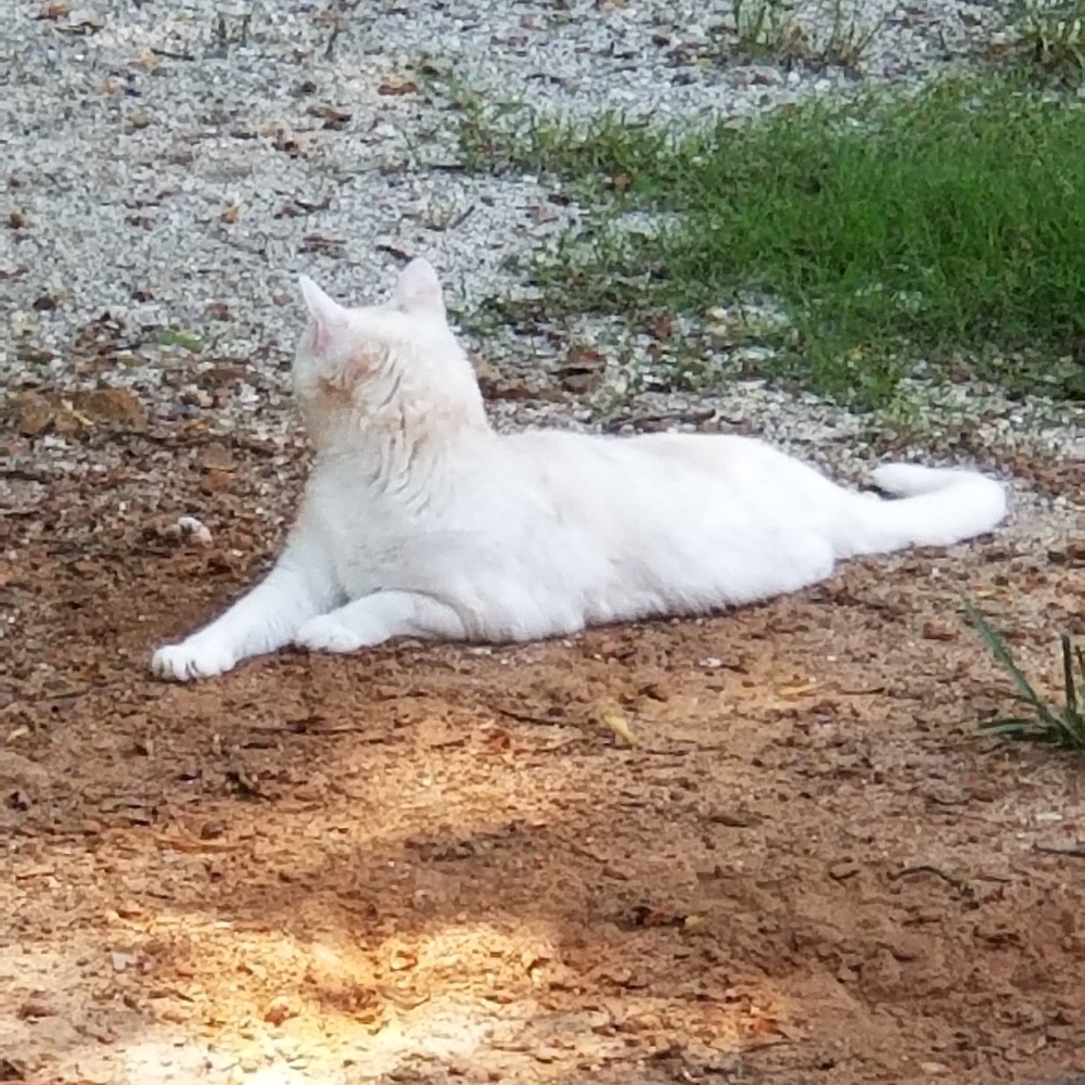 Meet your Posher, Kiersten